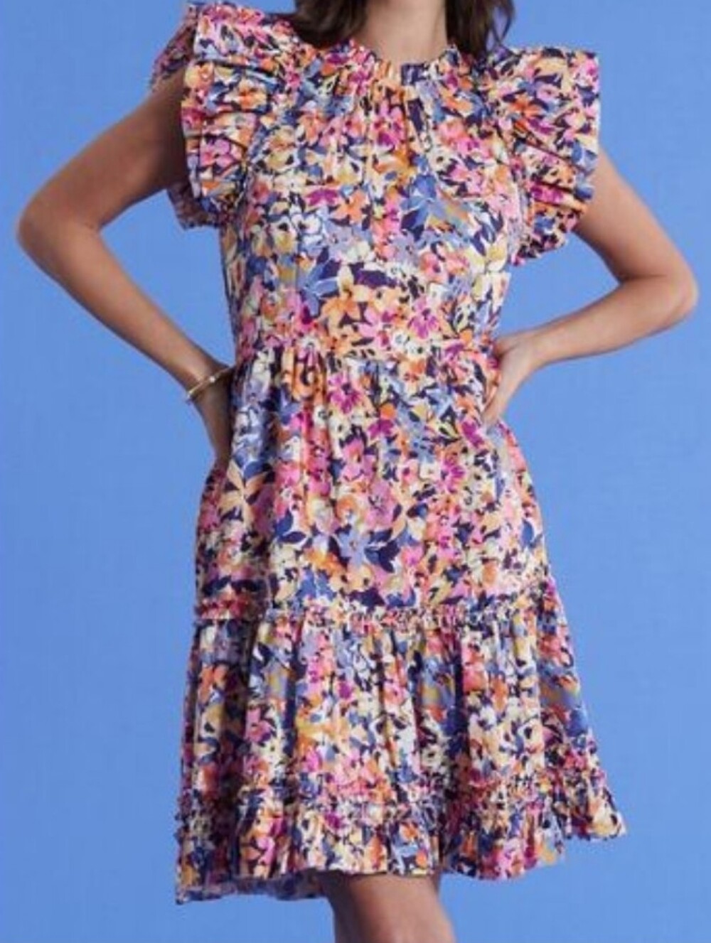 Tyler Boe Multi-Color Floral Ruffle Sleeve Dress